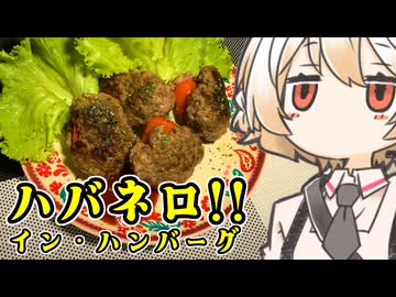 ハバネロ・イン・ハンバーグ【ナースロボ】