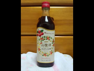 【ハイボール祭り夏の陣2026】山楂子酒
