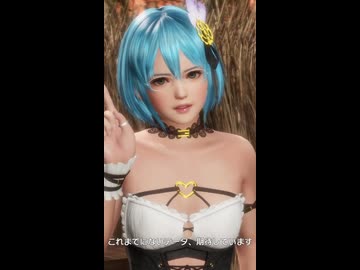DOA6LR ショートversion NiCO