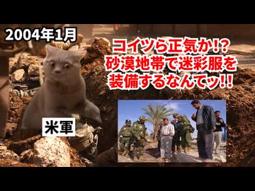 【自衛隊 イラク派遣】約5年半に及ぶイラク派遣で死者0人！？自衛隊があえて目立つ迷彩服でイラクに行った理由 #猫マニ #猫ミーム