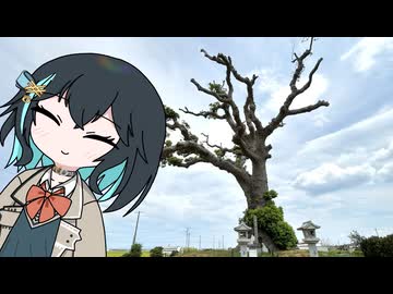 のんびりおでかけおスクーター その2