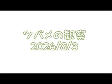 つばめの観察2026No035