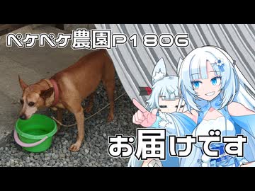 2026年8月3日　日記1806　雨の後で農作業が出来ないので家具を届けに隣町へ