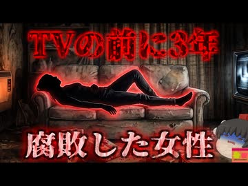 【2006】『テレビの前で3年』家賃滞納で調査が入った住宅に白骨遺体…つけっぱなしのTVに暖房…クリスマスプレゼント…一体何が？『Joyce Vincent事件』きめぇ丸解説（新作です）