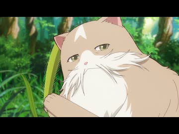 猫と竜 第6話「猫じゃらしの夜」