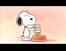 PEANUTS スヌーピー －ショートアニメ－　第25話 / 第26話　「どうかしてるよ　スヌーピー」 / 「ミス・コンテスト」