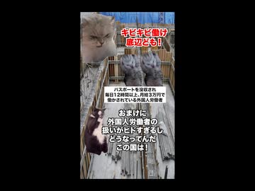 【ドバイ経済崩壊】ヤバすぎる監視社会で富裕層離れが加速！？何故ドバイ経済は崩壊したのか？#猫マニ#猫ミーム #ショート