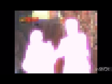 ずるじゃん探検隊