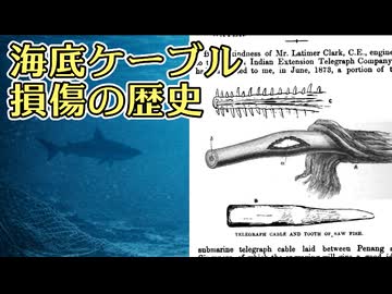 サメ、地震、漁船――海底ケーブル故障の歴史