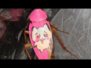 ホモと見るちいかわにされたゴキブリ