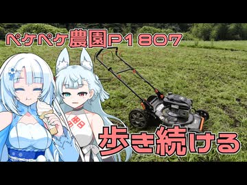 2026年8月4日　日記1807　草原を芝刈り機できれいにしていくよ