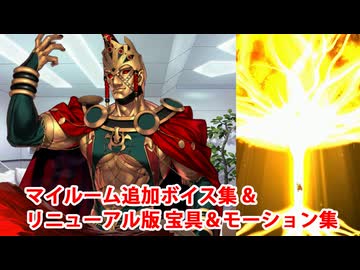 【FGO11周年】ロムルス 追加マイルームボイス＆バトルボイス集＆リニューアル版バトルモーション集【Fate/Grand Order】