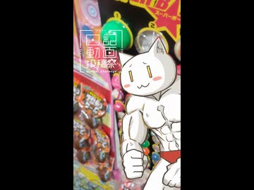 【日記動画投稿祭2026夏】徒然なるままに雑日記8/6