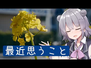 深夜の雑談動画