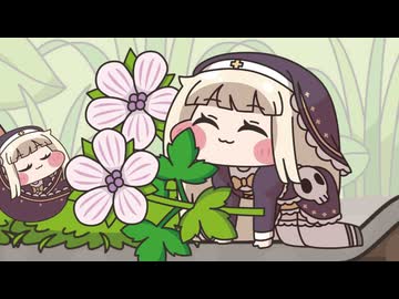 スピキリウム その10 芽吹き