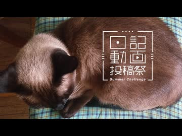 【日記動画投稿祭2026年夏】我が家の猫日記　5日目：ネコミュニケーション【VOICEVOX：東北ずん子】