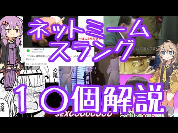今さら人に聞けないネットのネタ解説その60【下ネタ編②】