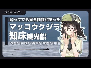 【花隈千冬】マッコウクジラ、でけえ【知床羅臼】