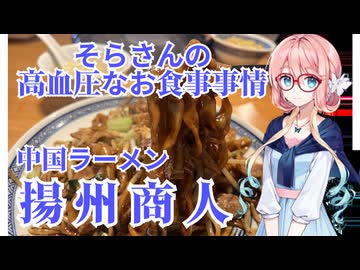 そらさんの高血圧なお食事事情　中国ラーメン揚州商人