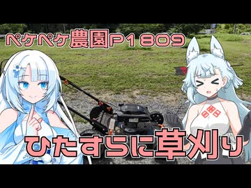 2026年8月6日　日記1809　前回の草刈りの続きから始まり、お山でも草刈りで芝刈り機活躍