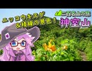 【ニコニコ登山祭】神室山、秋田と山形の県境の山へ【VOICEVOX5周年文化祭】