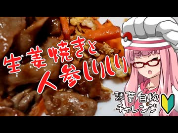 琴葉自炊チャレンジpart2「生姜焼きと人参しりしり」