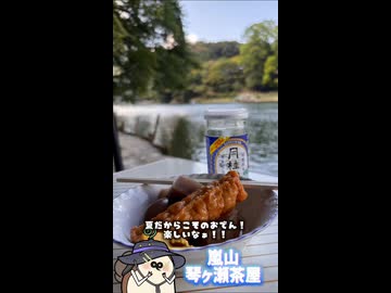 【お写んぽ！！】夏の嵐山！琴ヶ瀬茶屋！！