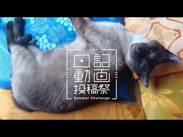 【日記動画投稿祭2026年夏】我が家の猫日記　7日目：出禁猫【VOICEVOX：東北ずん子】
