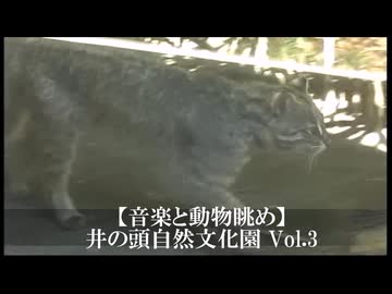 【音楽と動物眺め】井の頭自然文化園 Vol.3
