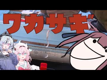 夏色釣行記04　諏訪湖　ワカサギ