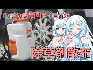2026年8月7日　日記1810　除草剤を撒くだけの日だけど・・・なんかいろいろあった