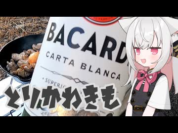皮と肝とハイボールとにゃんこ【とり料理祭2026夏】