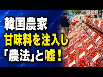 韓国でまた嘘！収穫したミニトマトに甘味料を注入し「農法」とイキって販売していた