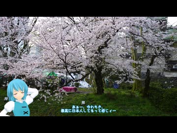 レヴォーグで東方のんびりドライブ Part41　富山でお花見編
