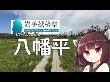 【岩手投稿祭】八幡平散策