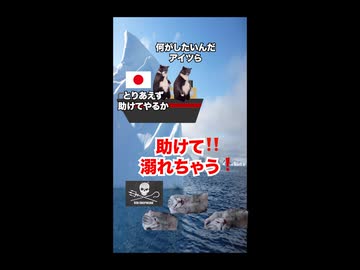 【シーシェパード】日本政府の返り討ちに合う環境テロリスト集団 #猫マニ #猫ミーム
