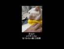 ひとりバックドロップする珍獣