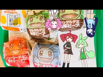 マクドナルドってなんだかんだ月イチ行ってしまうときある【日記動画投稿祭2026夏・8/8】
