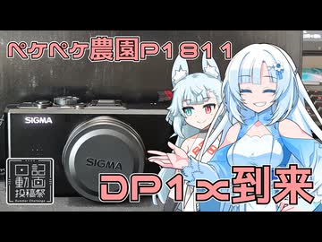 2026年8月8日　日記1810　日記動画投稿祭2026年夏　SIGMA DP1Xを買っちゃった