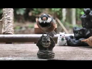8月のいつもの通りの生き物