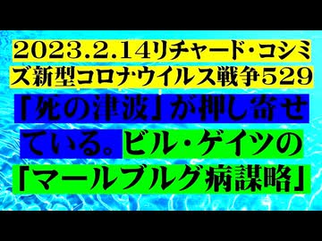 【2023年02月14日 ：『 リチャード・コシミズ「 Internet Lecture 」｟ 新型コロナウイルス戦争 ５２９ ｠｟ RK LIVE ｠｟ 改良版 ｠』】