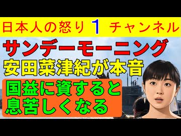 【安田菜津紀がサンモニで反日バレる】「日本の国益に資することをすると生きづらくなる」国益に資すれば生きやすくなるはずが思わず本音を漏らしてしまう