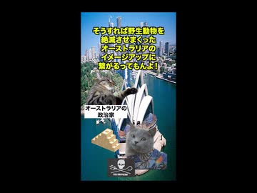 【オーストラリア サメ被害】捕鯨に反対したらサメ被害が急増！？人命より思想を選んだ国の悲惨な末路 #猫マニ #猫ミーム #ショート