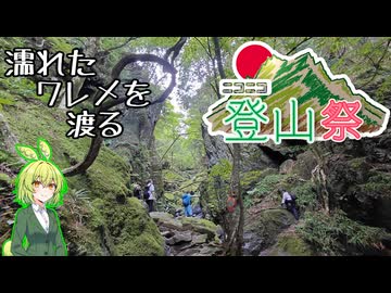 【旅のもん】棒ノ嶺（棒ノ折山）で沢登り【ニコニコ登山祭】【埼玉県飯能市】