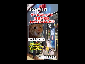 【ゲームストップ株騒動】ハゲタカファンドを叩きのめした個人投資家たちの逆襲 #猫マニ #猫ミーム
