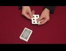 532 ボトム・プレイスメント・パーム