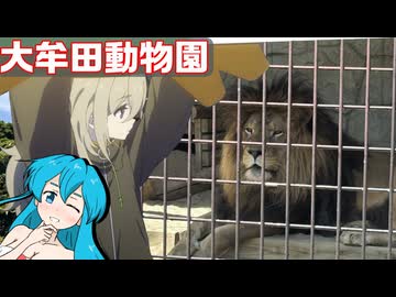 雨晴はうのドライブ　福岡　大牟田市動物園