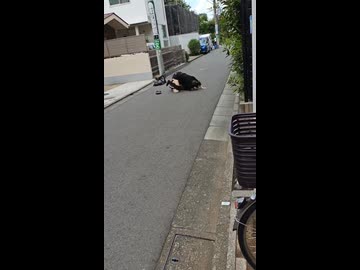 【悲報】野獣邸前でトー横女子による乱闘が発生してしまう… #野獣の日2026