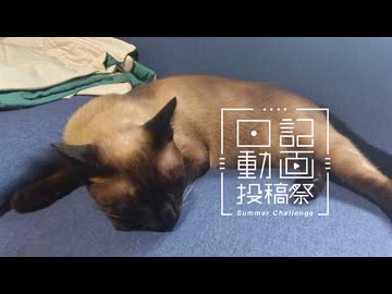 【日記動画投稿祭2026年夏】我が家の猫日記　10日目：食べながら眠るねこ【VOICEVOX：東北ずん子】