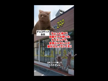【チョコザップ】大量出店＆ずさんな管理体制で大赤字！？利用者からのクレームが止まらないコンビニジム #猫マニ #猫ミーム #ショート